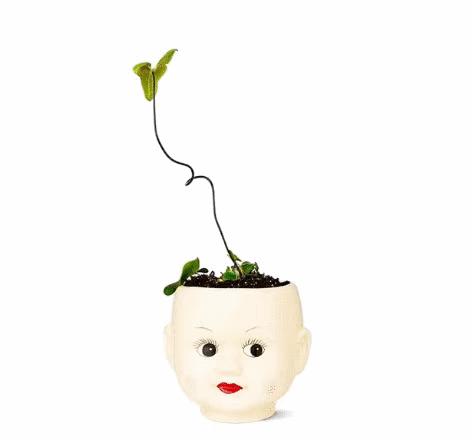 北活态度｜丹麦这家“杂货界的宜家”，只要10元就能搞定你的快落