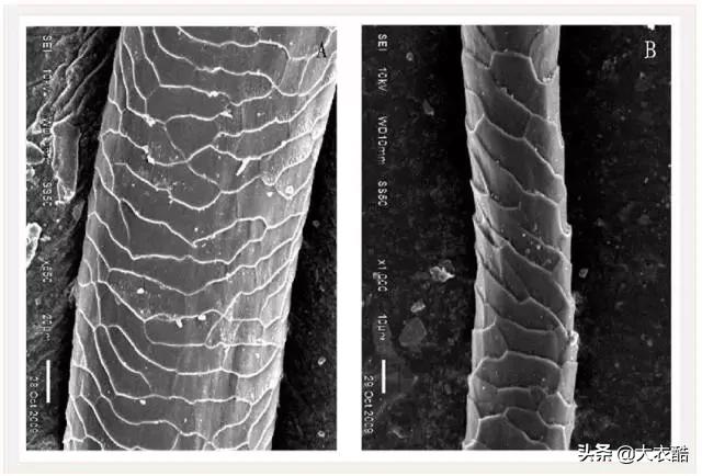 别傻乎乎分不清“羊绒大衣”和“双面呢大衣”，为什么差别10倍？
