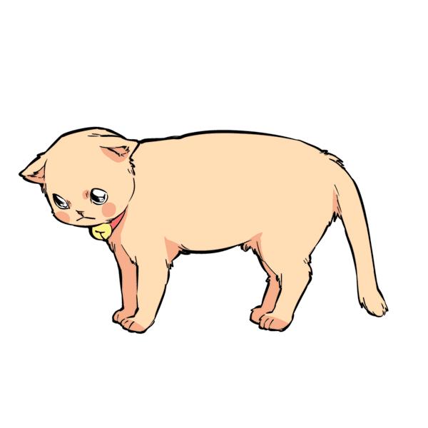 猫咪尾巴竖起来是什么意思,猫咪尾巴各种姿态含义
