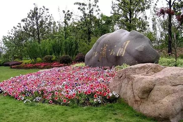 太全了,南京人少景美的免费公园