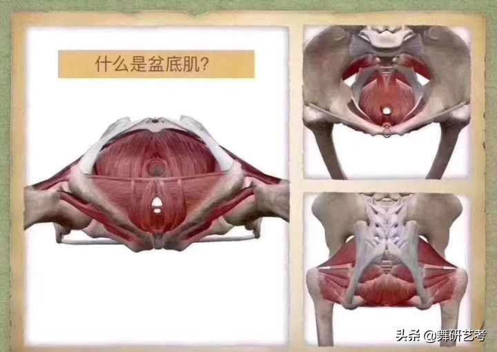 什么是开胯？我来告诉你