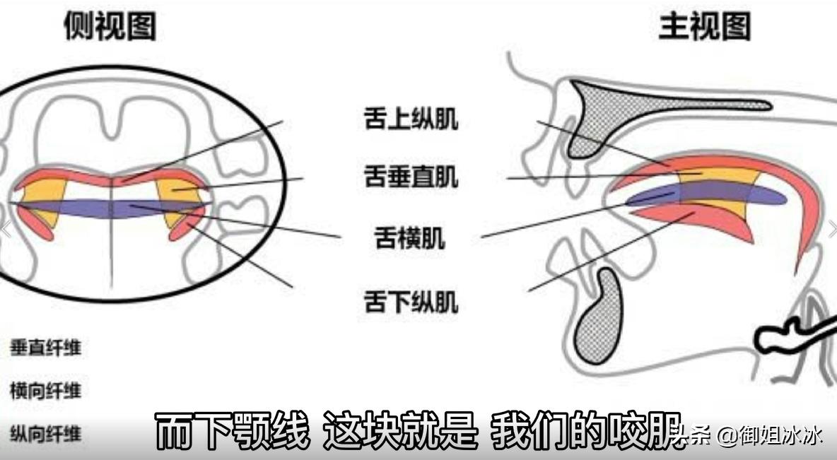 三个动作练出翘下巴,三个动作轻松瘦下巴