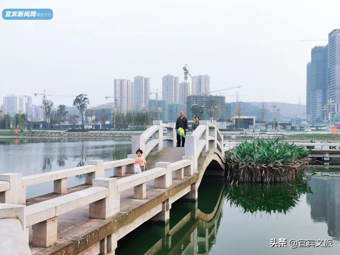 宜宾自然湿地公园,宜宾最漂亮的公园