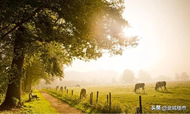 30岁以后学会做减法,30岁学会做减法