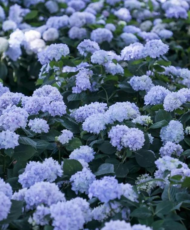 昆明附近一个人玩的地方,昆明周边城市适合一个人去的地方