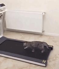 瑜伽垫169元,瑜伽垫179元