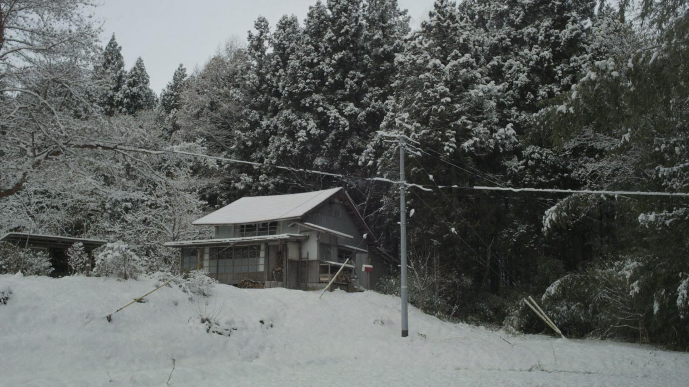 日本清新小森林,小森林的春夏秋冬舌尖上的治愈系