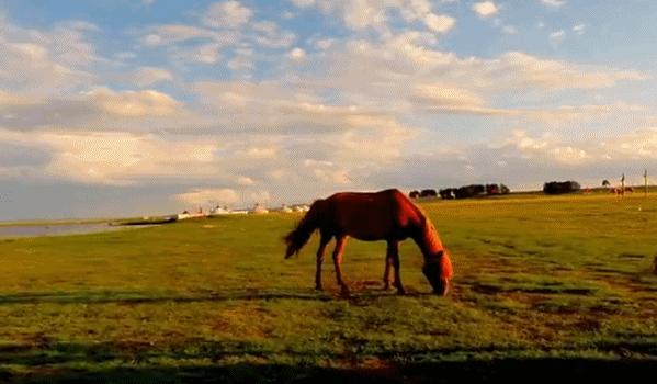 中国快递之快让全世界都惊呆了,中国桥梁为何惊呆了全世界