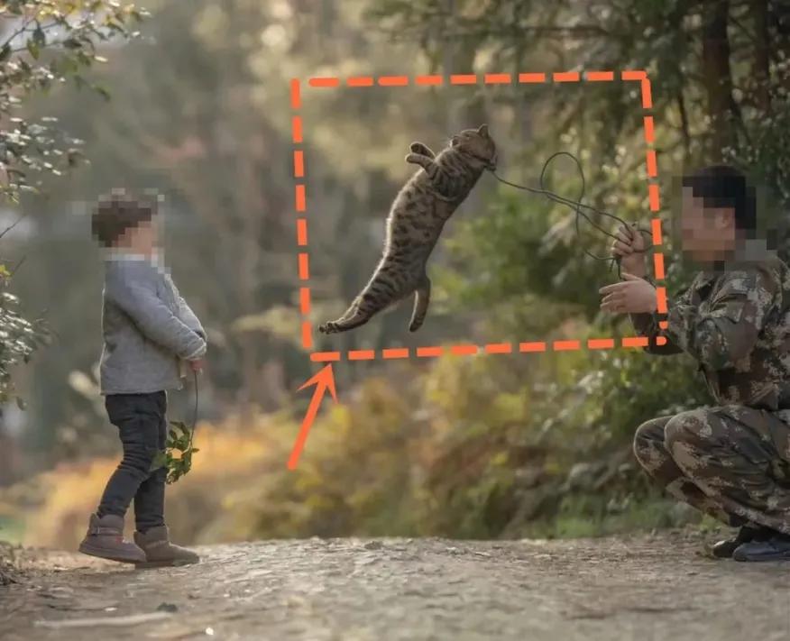 用绳栓猫头抛猫拽猫！还称自己爱猫？求求你做个人吧！