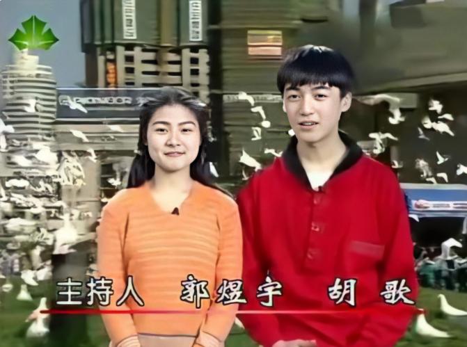 胡歌拒绝集资应援,胡歌缴税吗