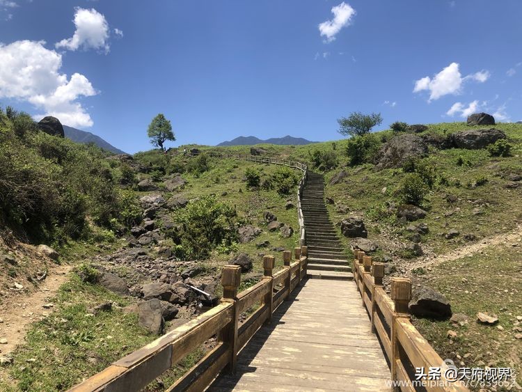 四川黑竹沟之谜,四川黑竹沟探险之旅