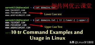 linux常用命令返回上一级目录,linux的常用命令就是记不住怎么办