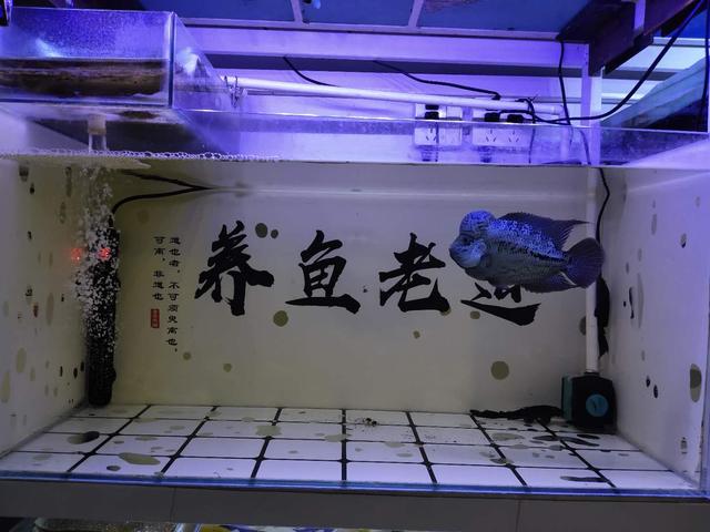鱼缸加热用什么材质好,鱼缸加热管用多大合适