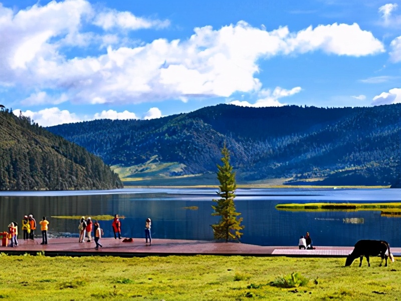 香格里拉最惊艳的地方,香格里拉令人向往的地方