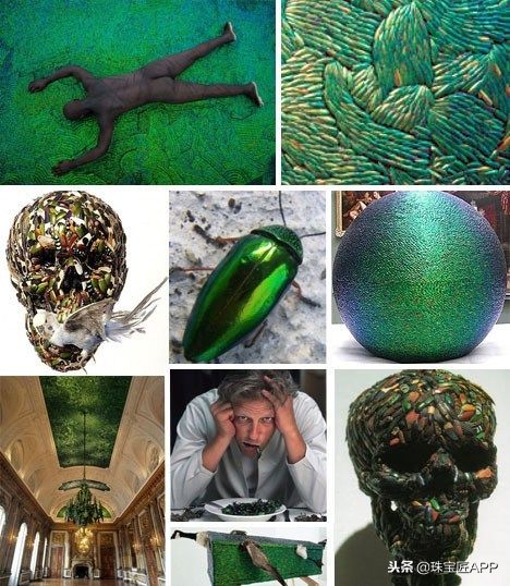 昆虫做的珠宝首饰,用昆虫做的艺术品