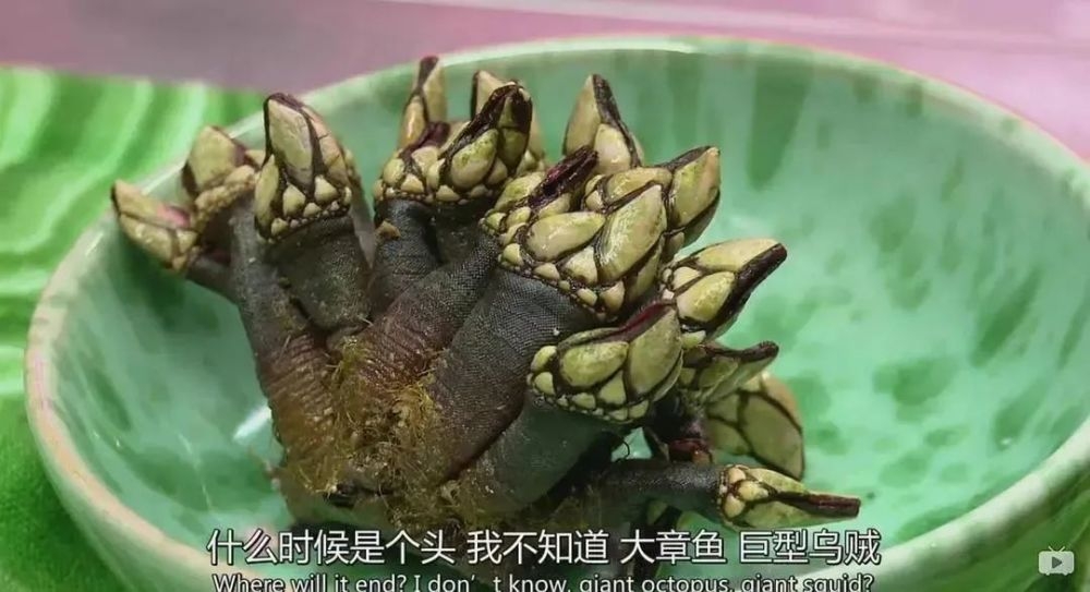 亿万富豪盛宴bbc纪录片,真实的亿万富豪纪录片