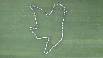 点赞会动的图片,会动的点赞图