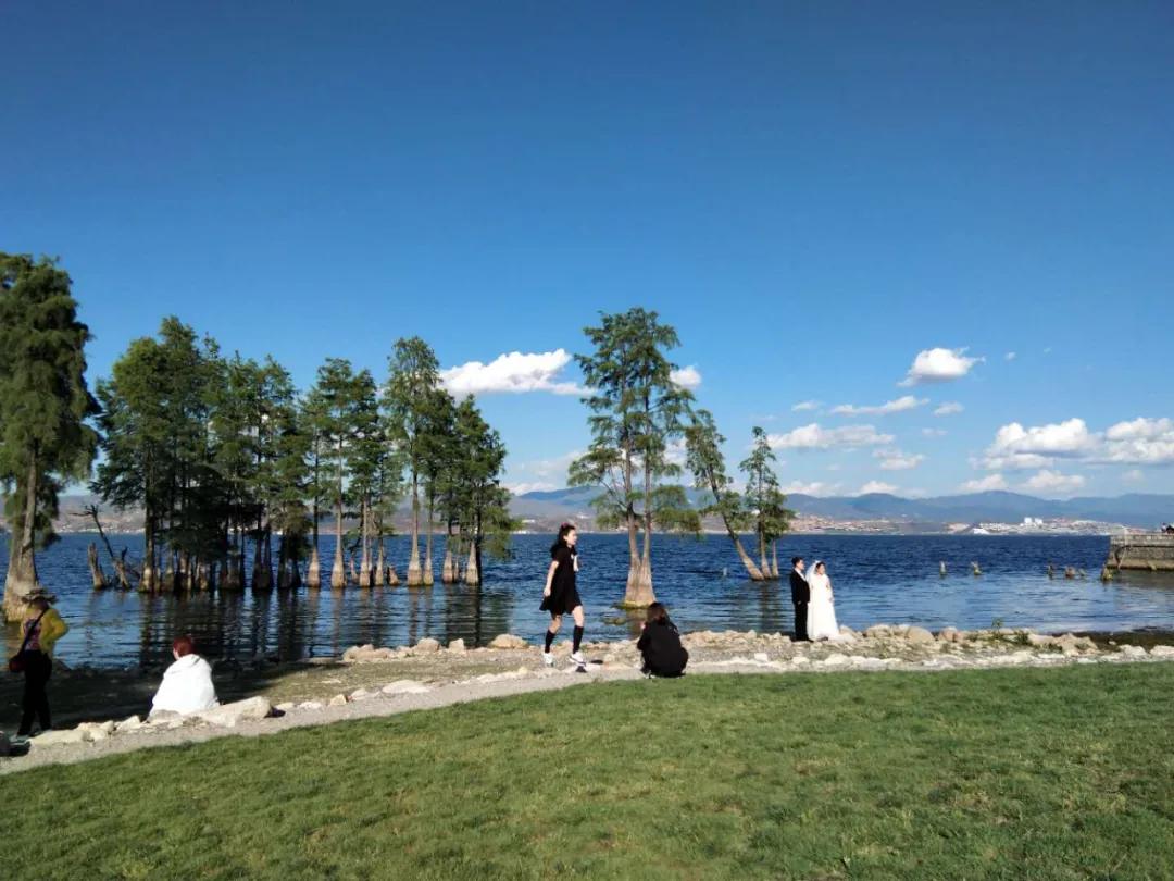 大理客栈月租百元，漫步、读书、摆摊