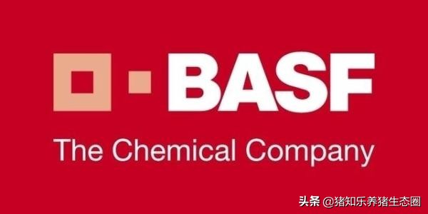 养猪行业的谎言类似“皇帝的新衣”