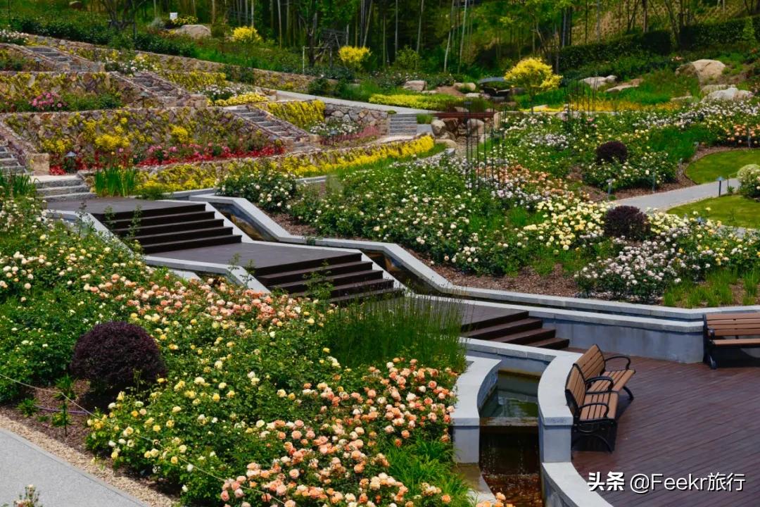 五一莫奈庄园一日游,五一不出游在家门口看风景