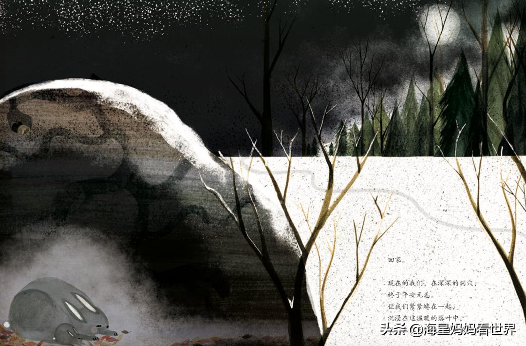 提高3-6岁孩子想象力的绘本,让孩子提升想象力的书