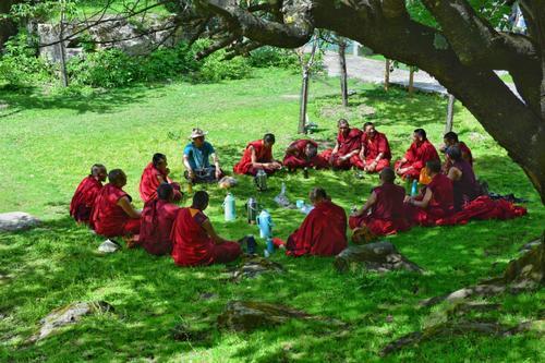 峨眉山景区的峨眉雪芽,峨眉雪芽简介