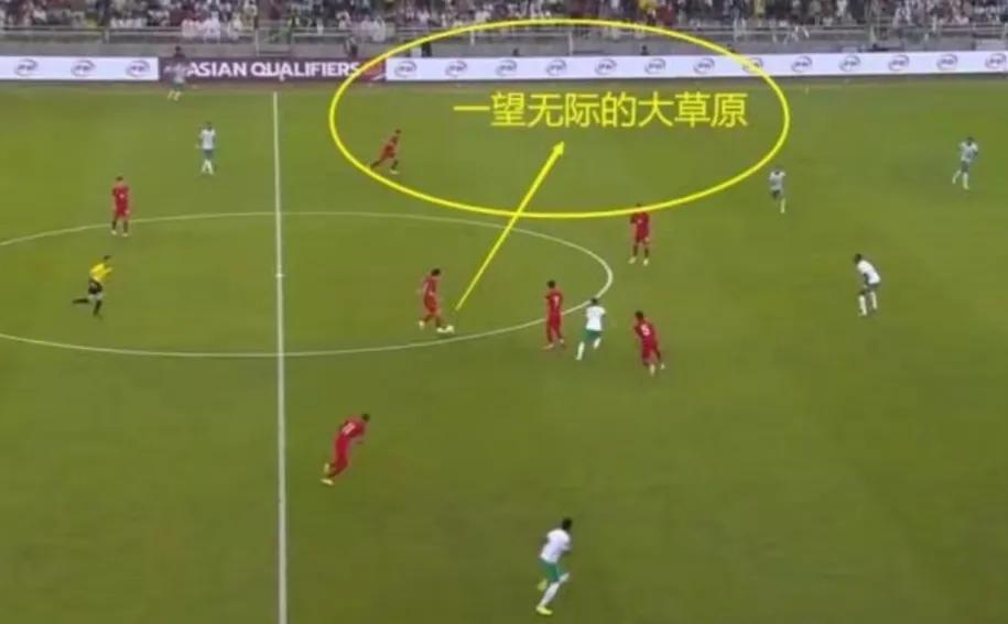 张稀哲国足比赛回顾,张稀哲国足简介