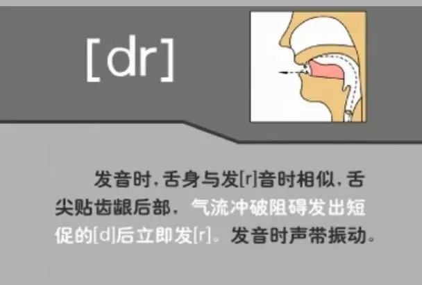 英语音标发音表48个音标正确读法,英语干货48个音标快速记忆法下