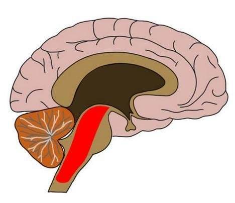 撞击导致的轻微脑震荡什么症状,撞到头部出现眩晕是怎么回事