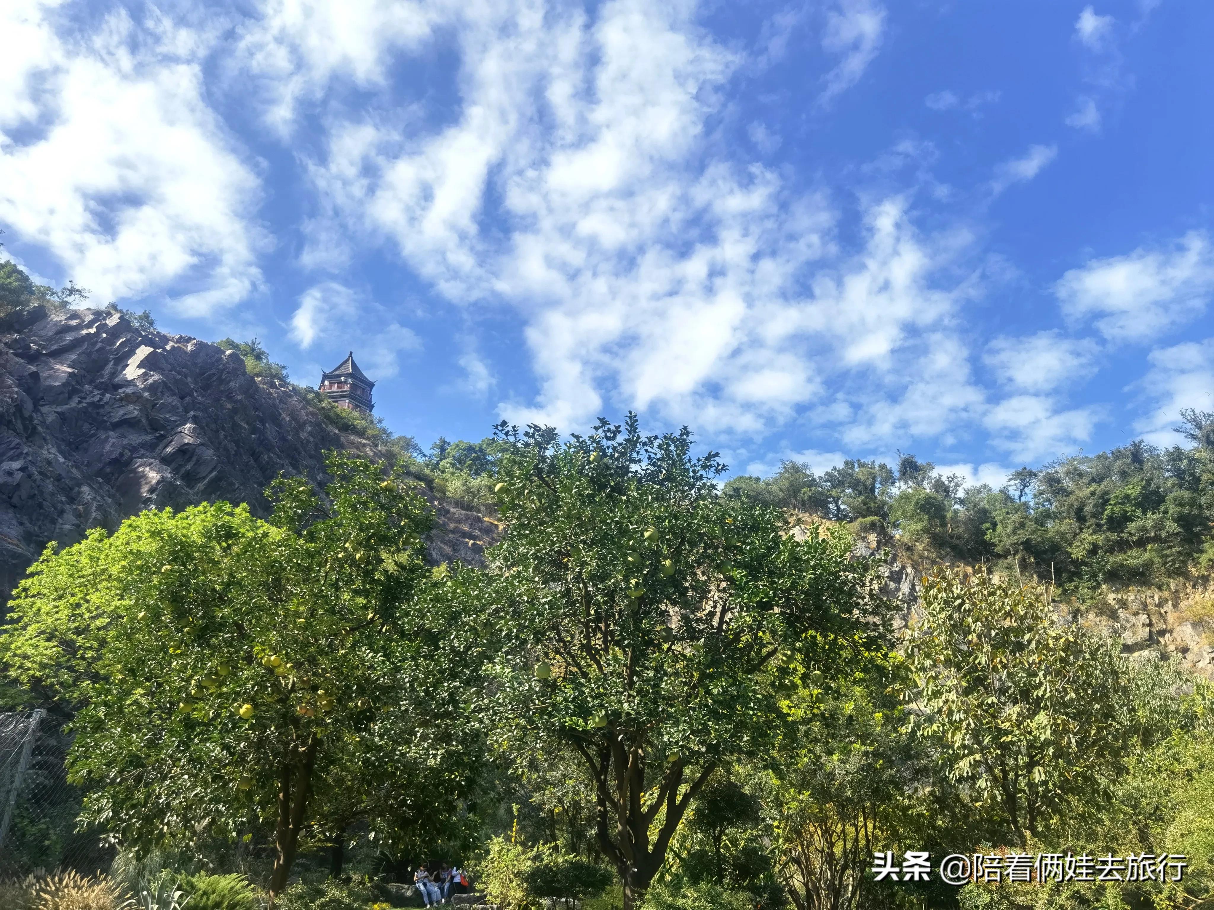 上海辰山植物园矿坑花园,辰山植物园矿坑花园修好了吗