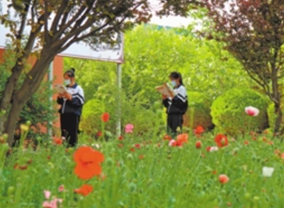 平罗县发展,宁夏平罗县教育水平