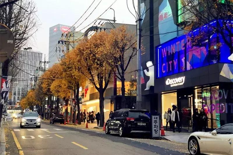 深圳这次入冬成功了吗,深圳终于进入了深秋的天气