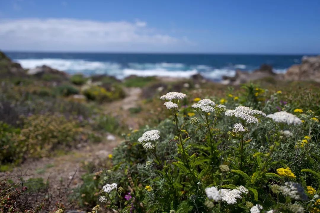 擎怀｜于美利坚告别“6”的罗曼蒂克
