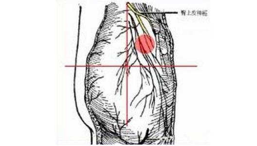 屁股那块骨头痛是什么原因,屁股右边像筋拉着样痛什么原因