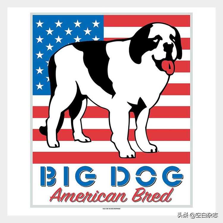 美国人的时尚偶像，竟然是一只狗