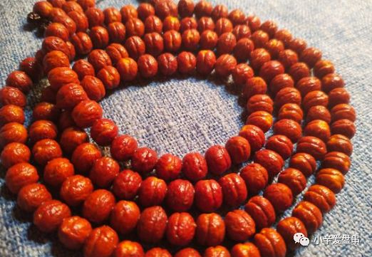 凭啥说我是假凤眼？——请叫我酸枣核