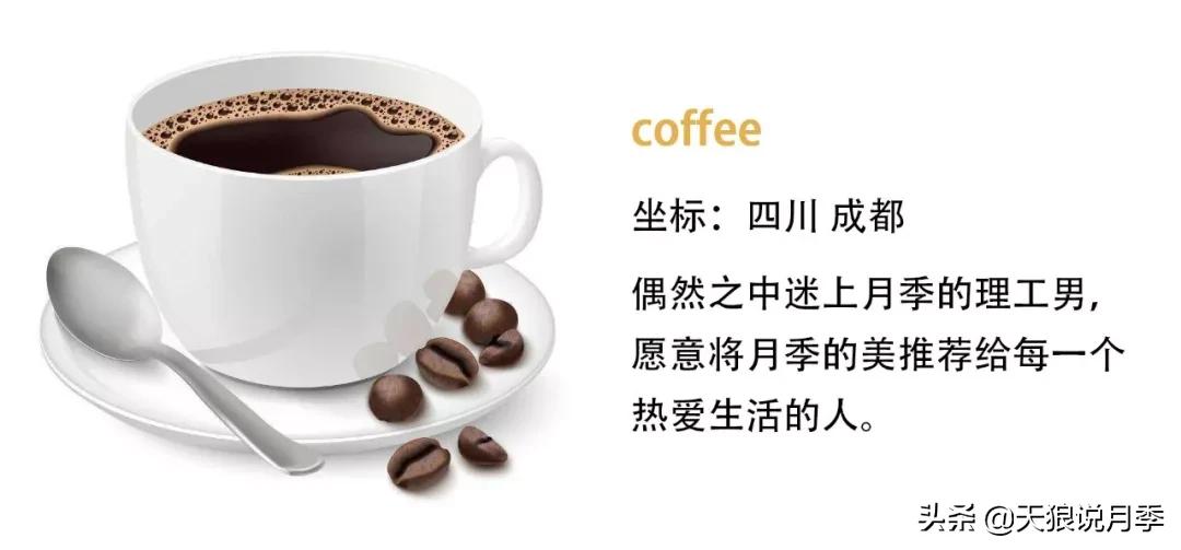 诗情与花意｜这些谜一般的月季，解不开被遗忘的过去