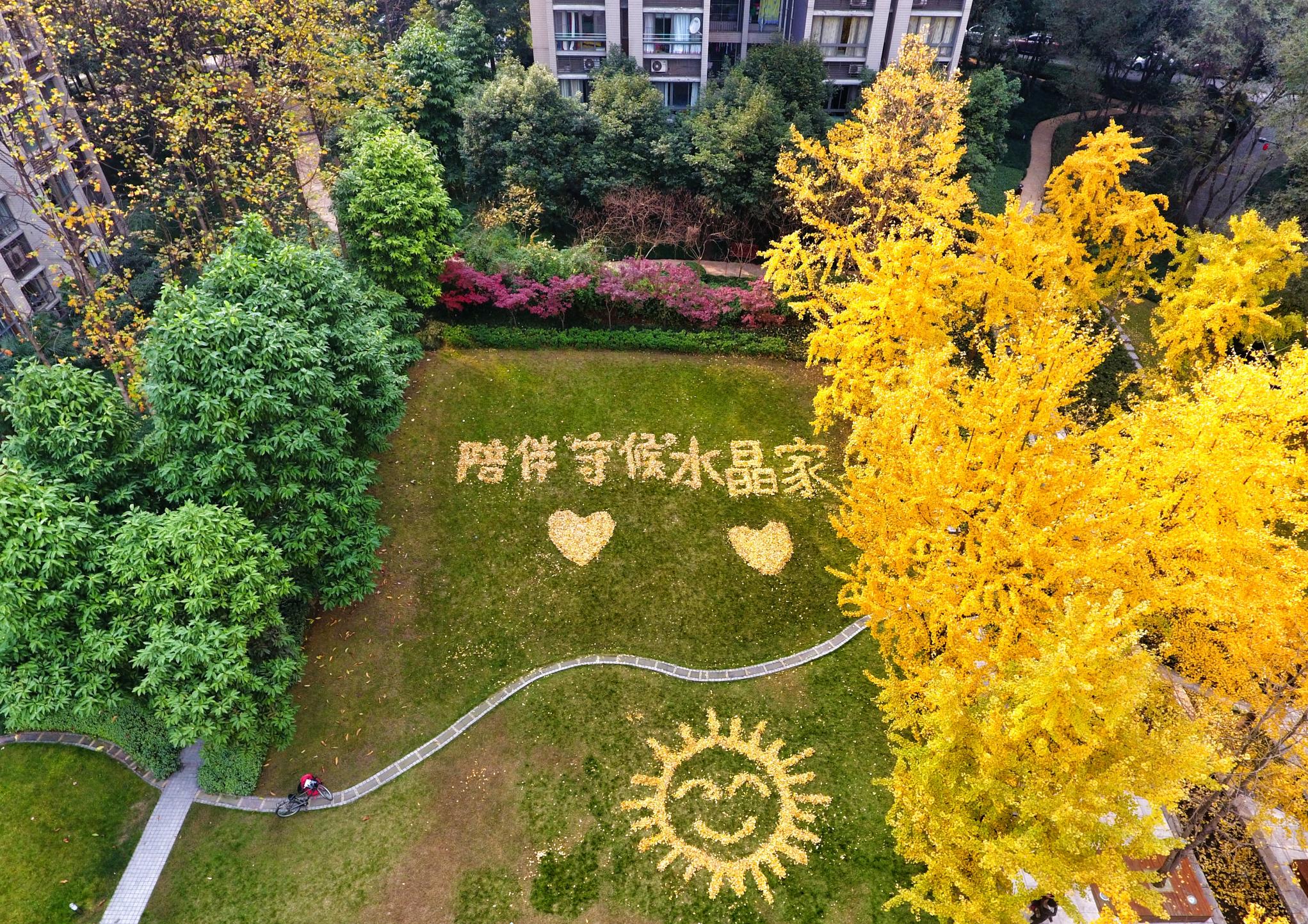 龙湖聪颖服务的聪颖体系有哪些,龙湖聪颖服务社区