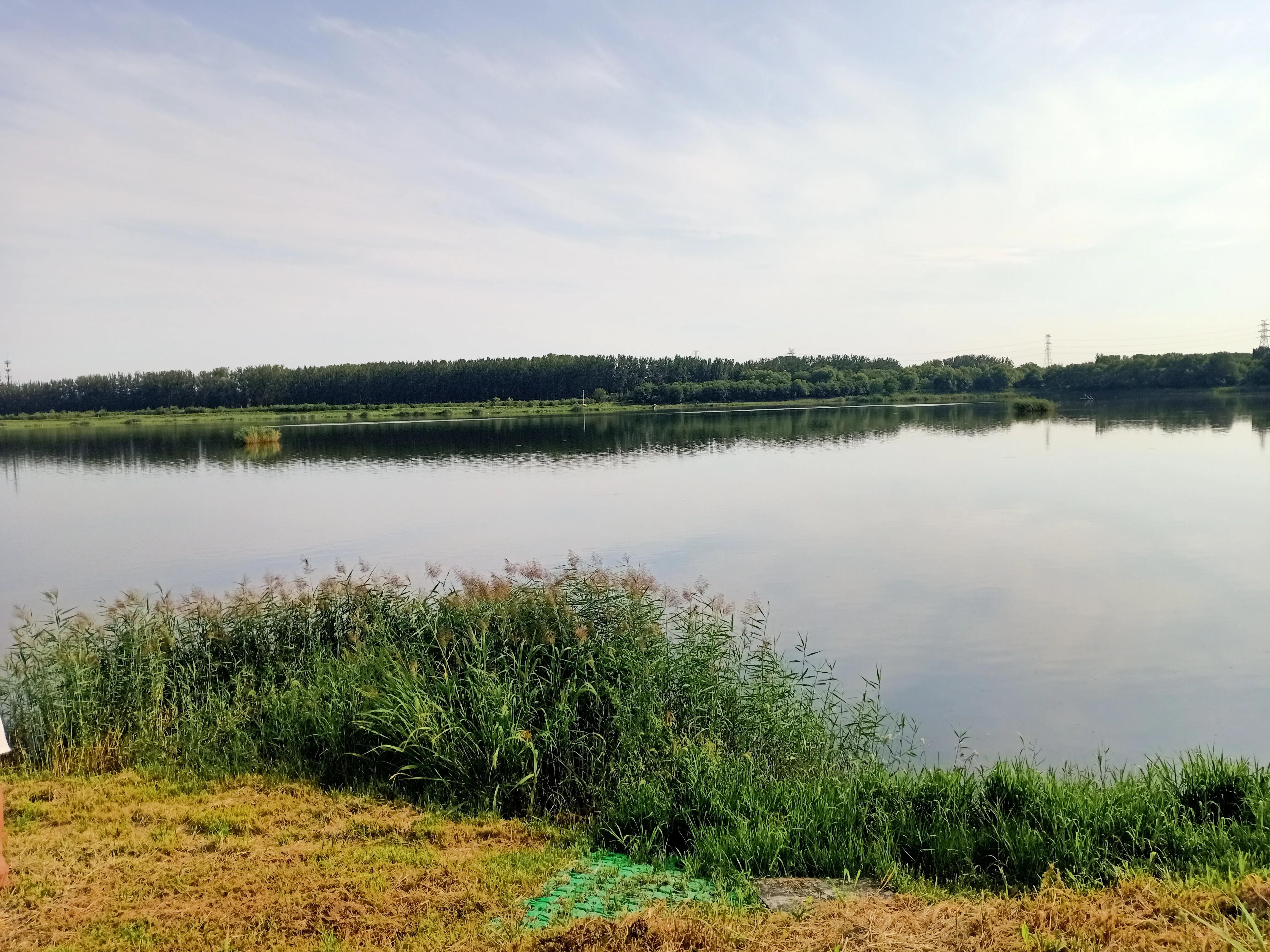 小花鸡丢了电视剧,小母鸡不见了