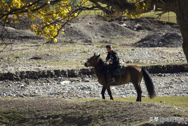 炮哥游记之初涉*疆新**《11》