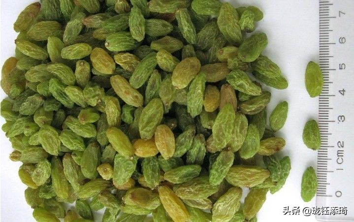 各省市特警特招,各省市特产地图