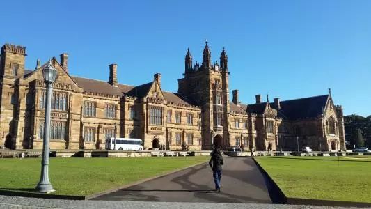 STEAM教育未来发展视频,steam教育知识框架结构图