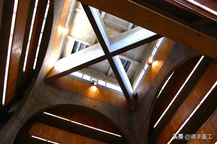 全球美到窒息的白天鹅和山水风景,全世界惊艳的图书馆