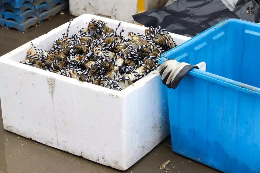 众彩物流公司年货,众彩物流年货大集