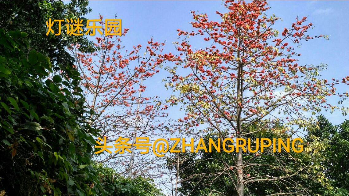 七言四句式字谜六组，蓝天白云永相伴出品20190311