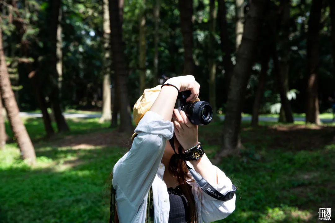 300+万㎡原始森林秘境，天河就有