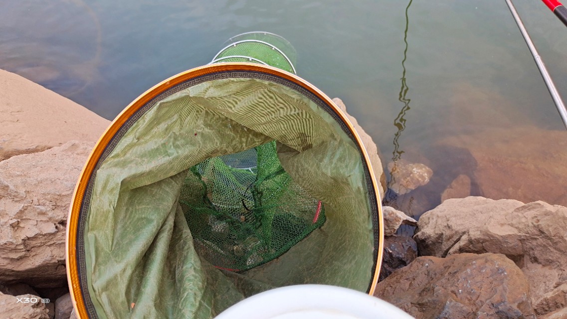 抄网鱼关注事项,抄网鱼怎么放鱼护最安全
