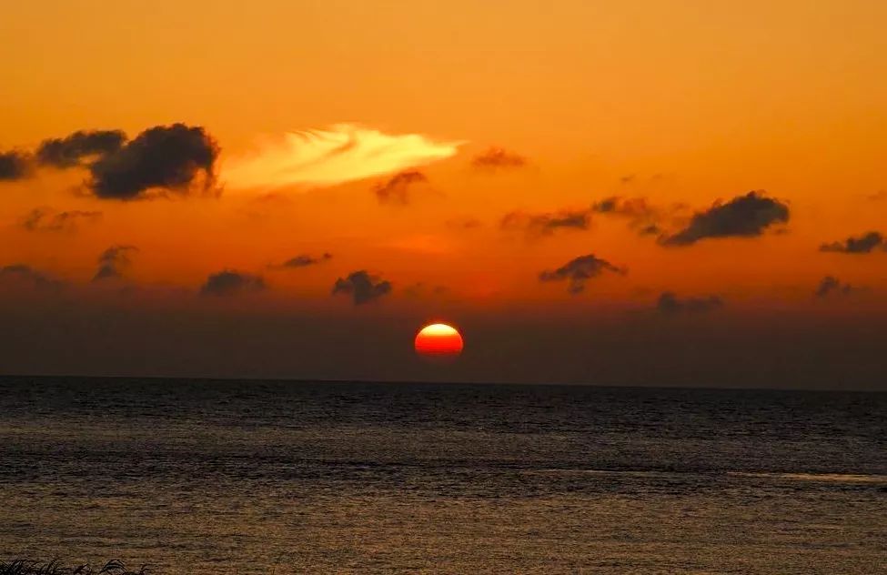 吵翻了！上海16个区终于正面PK！哪个是你心中的“扛把子”？