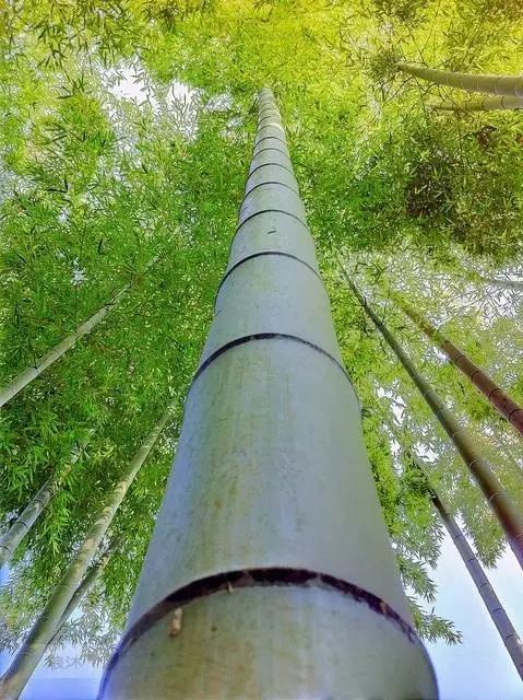 南怀瑾凡事不能太过圆满,南怀瑾做大事的人