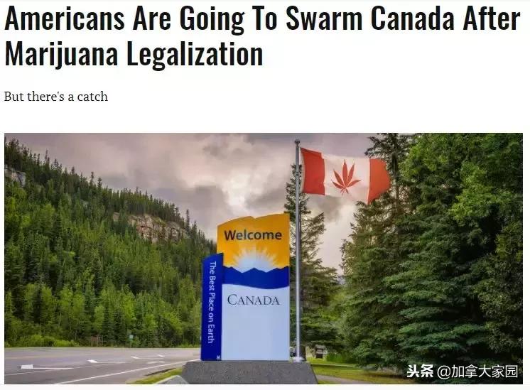 18岁中国小伙从加拿大带了两箱*麻大**回国，机场被抓，面临死刑！